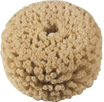 capture-decran-2016-10-25-a-10-25-32